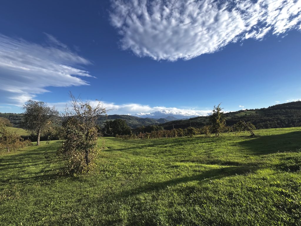 Emilia Romagna